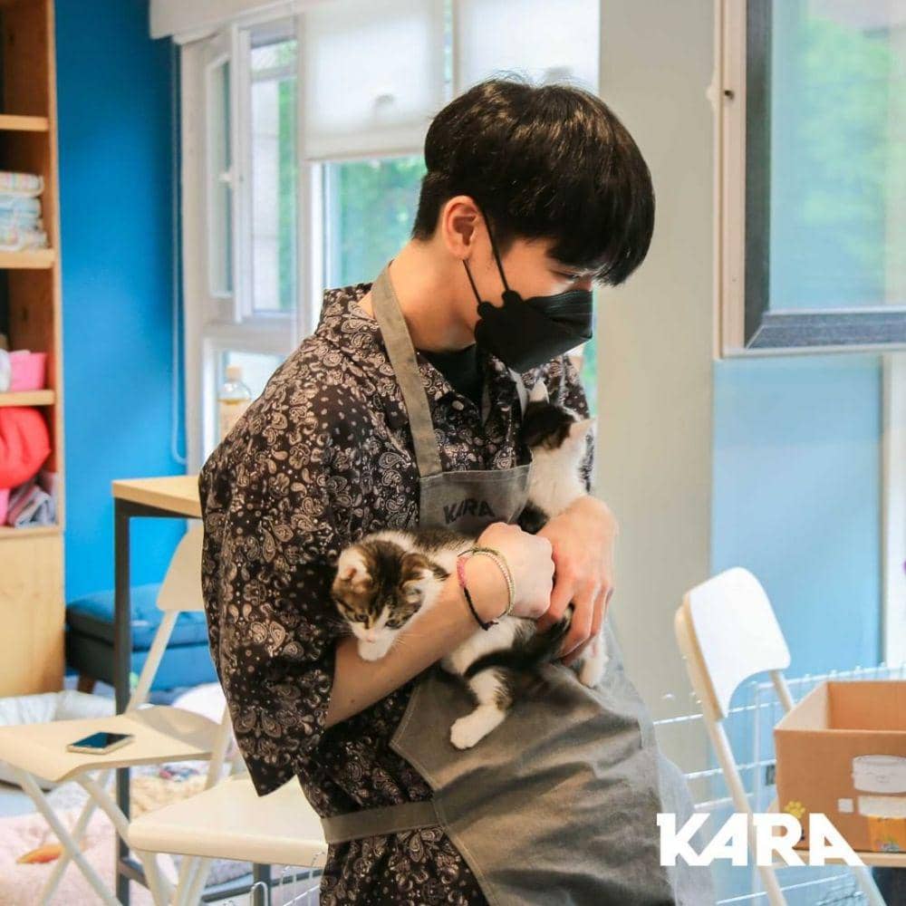 Way V (instagram.com/animal_kara)