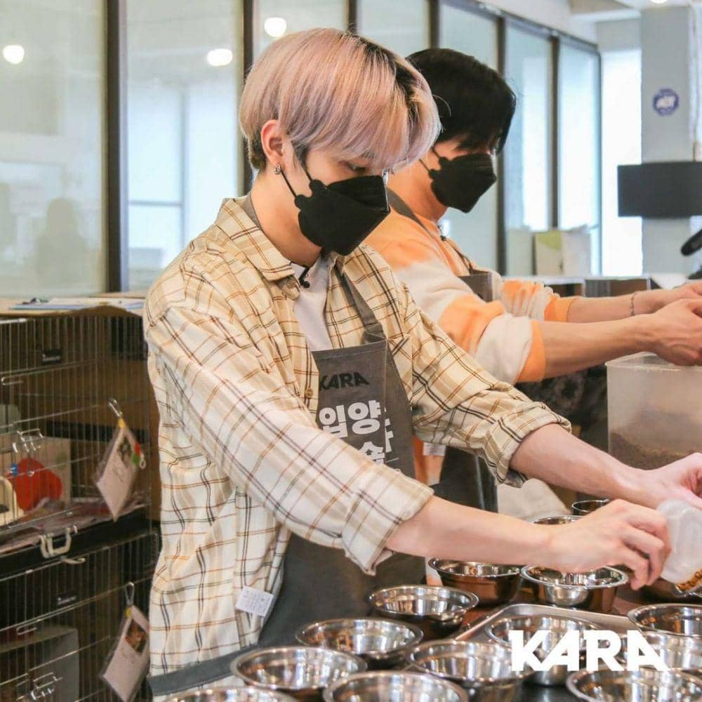 Way V (instagram.com/animal_kara)