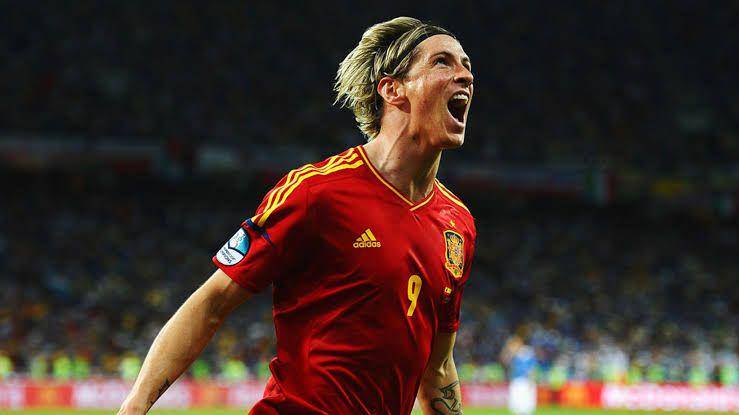 Fernando Torres (skysports.com)