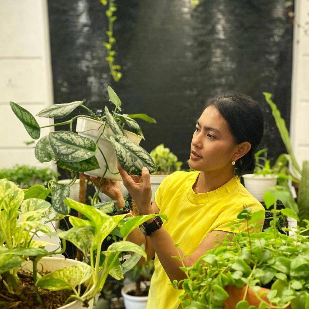 koleksi tanaman Lola Amaria (instagram.com/lola.amaria)