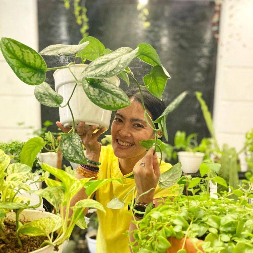 koleksi tanaman Lola Amaria (instagram.com/lola.amaria)