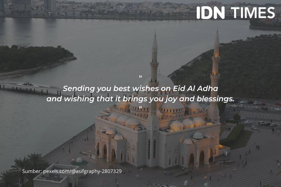 Ucapan selamat Hari Raya Idul Adha (IDN Times/Tyas Hanina)