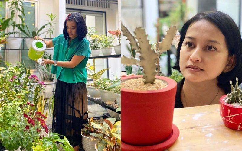 koleksi tanaman Lola Amaria (instagram.com/lola.amaria)