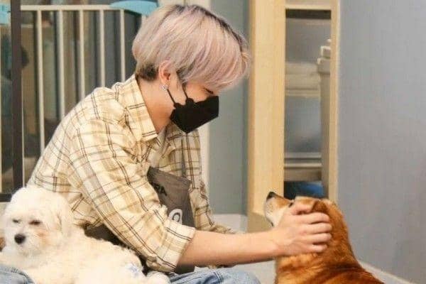 Way V (instagram.com/animal_kara)