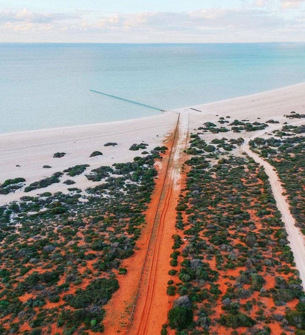 pesona Shark Bay (Instagram.com/girlswhodroneaustralia)