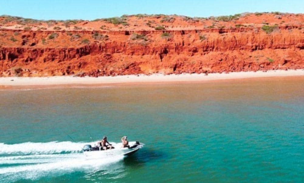 9 Pesona Shark Bay, Landmark Alam Paling Menakjubkan di Australia