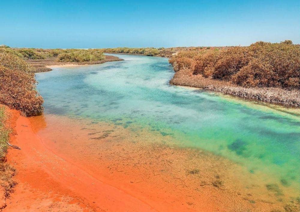 pesona Shark Bay (Instagram.com/reddirtculture)