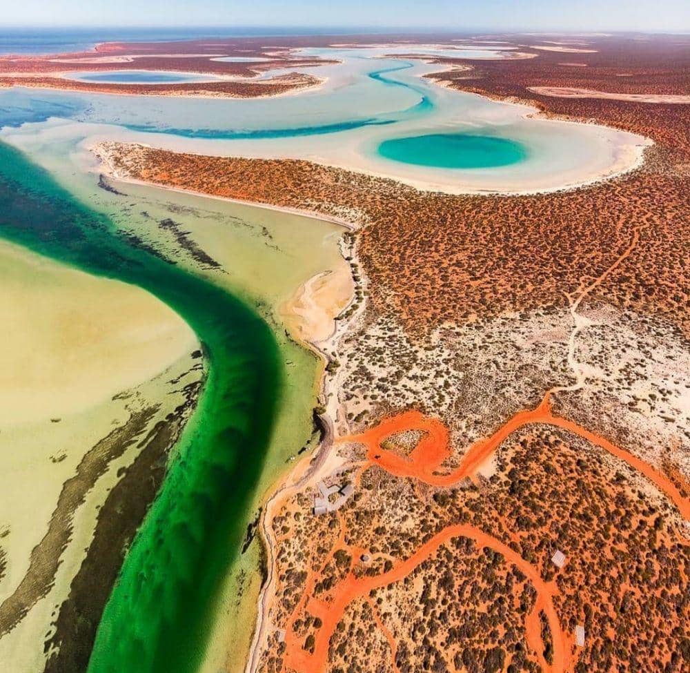 pesona Shark Bay (Instagram.com/australiatouristguides)
