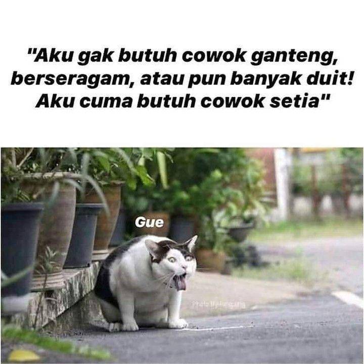 meme merendah untuk meroket (instagram.com/recehangokil)