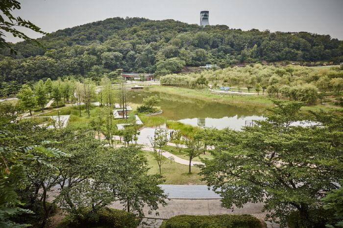 Dream Forest Seoul (english.visitkorea.or.kr)