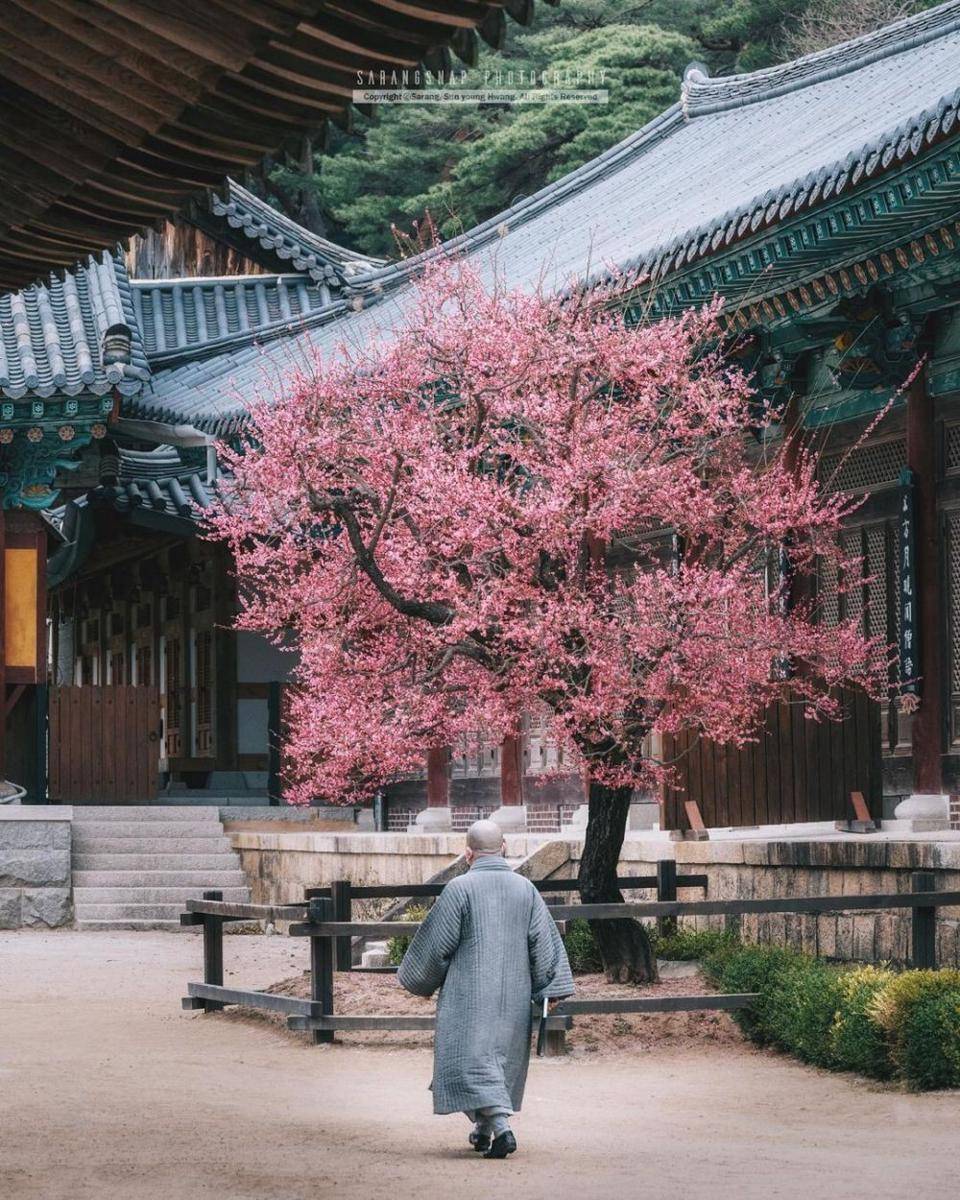 Tongdosa Temple (instagram.com/sarangsnap)