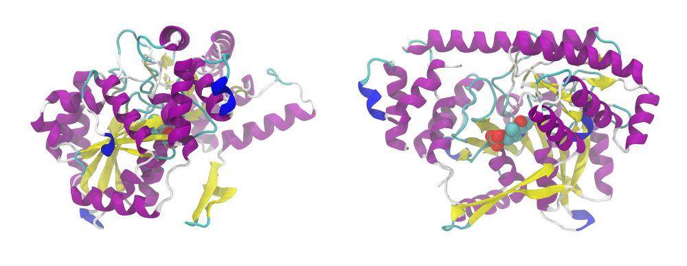 ilustrasi protein prion (pixabay.com/WikimediaImages)