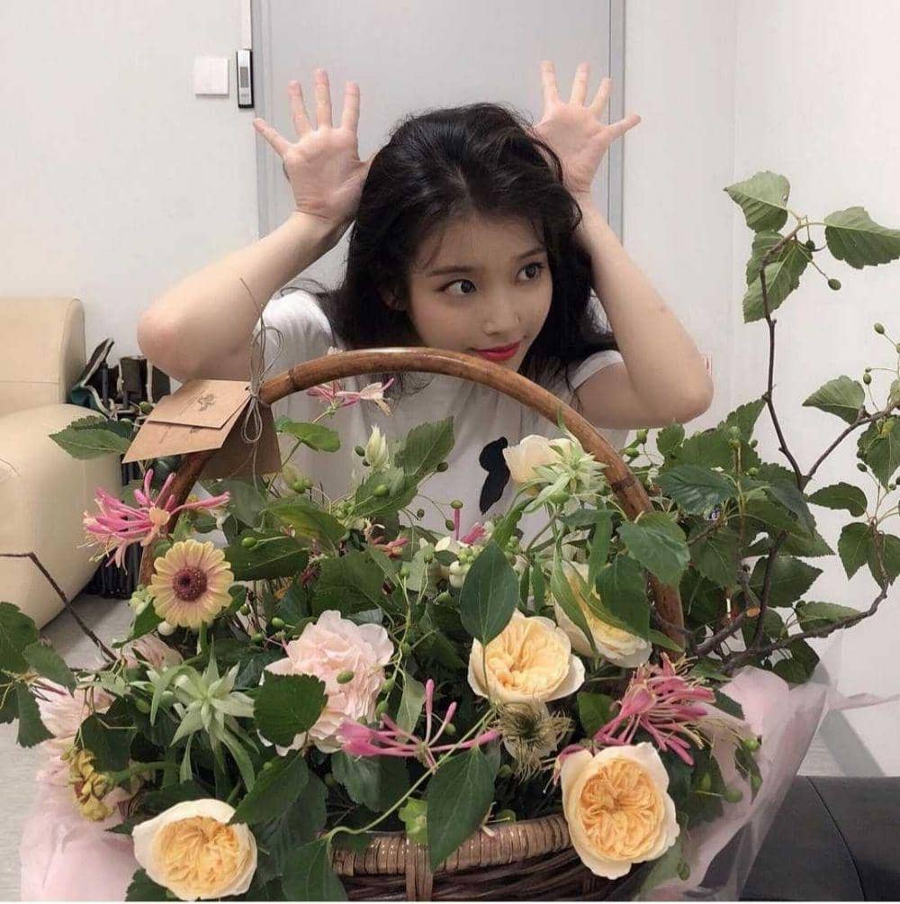 IU (instagram.com/dlwlrma)