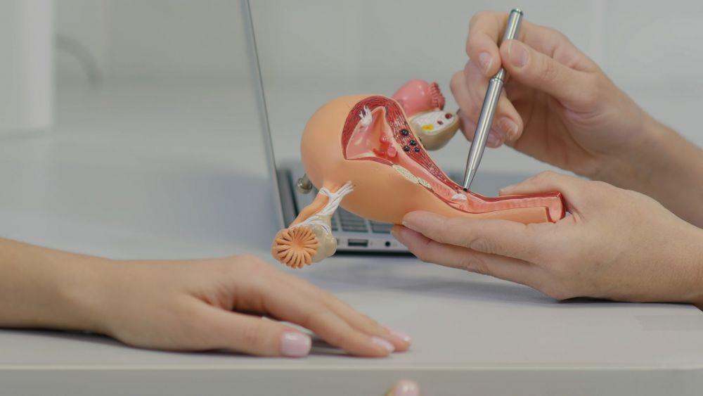 Vagina Kering: Penyebab, Pengobatan, dan Pencegahannya