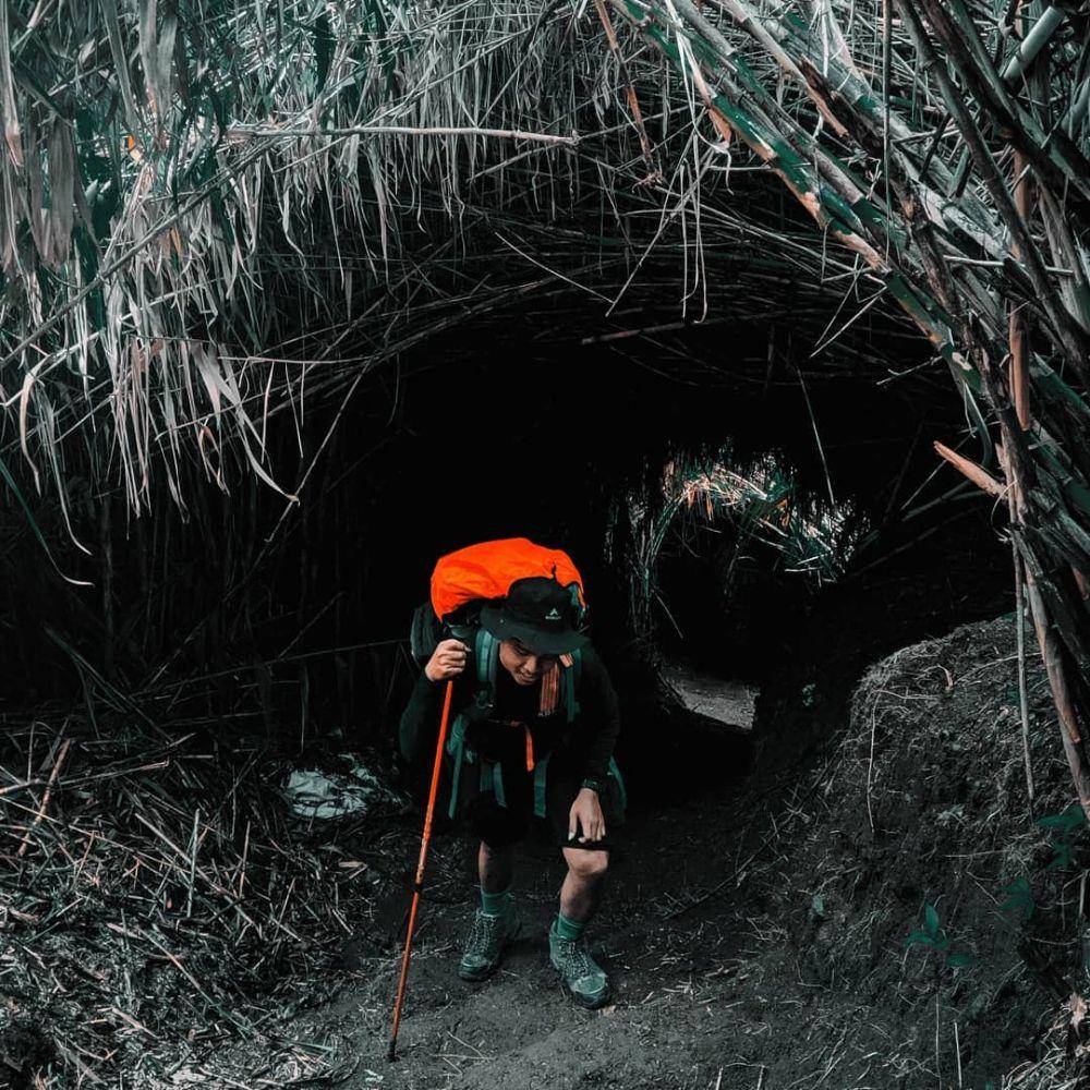 jalur pendakian Gunung Prau via Igirmanak (instagram.com/muhyiddin_mu)