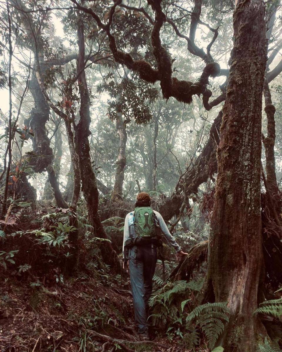 Gunung Salak (instagram.com/sudahpagi____)