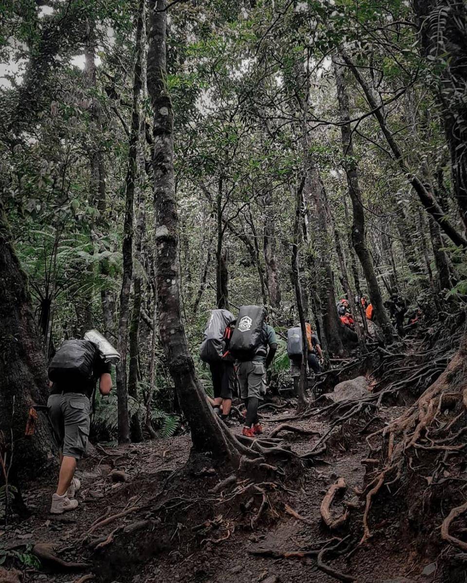 Gunung Gede Pangrango (instagram.com/putrapratamape)