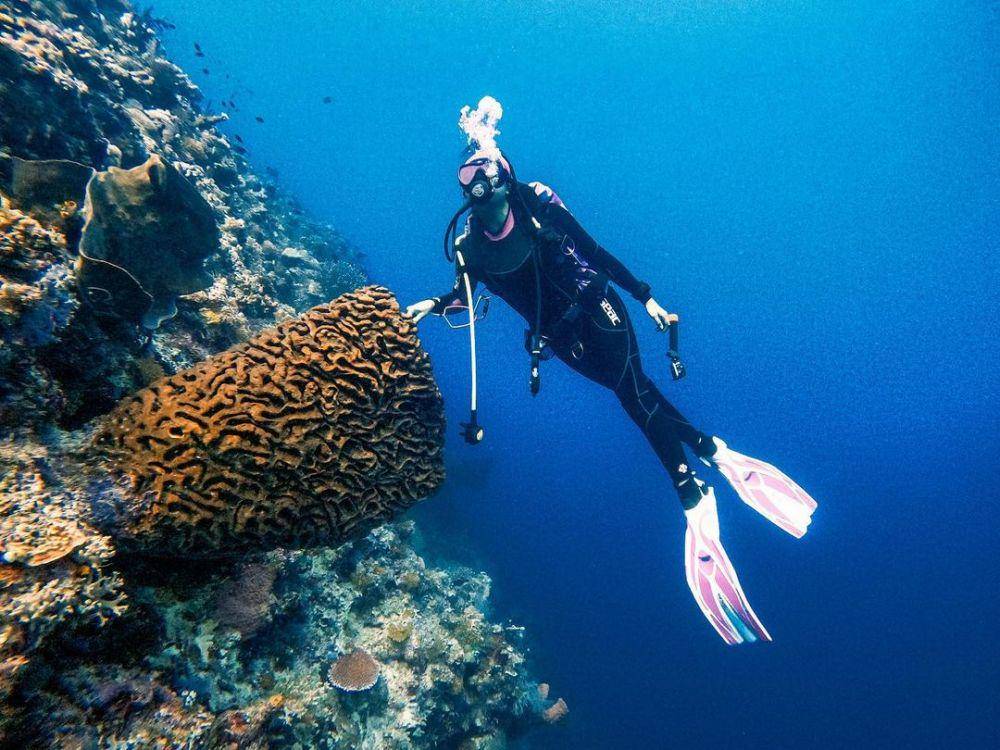 Awkarin bersama coral salvador dali (instagram.com/awkarin)