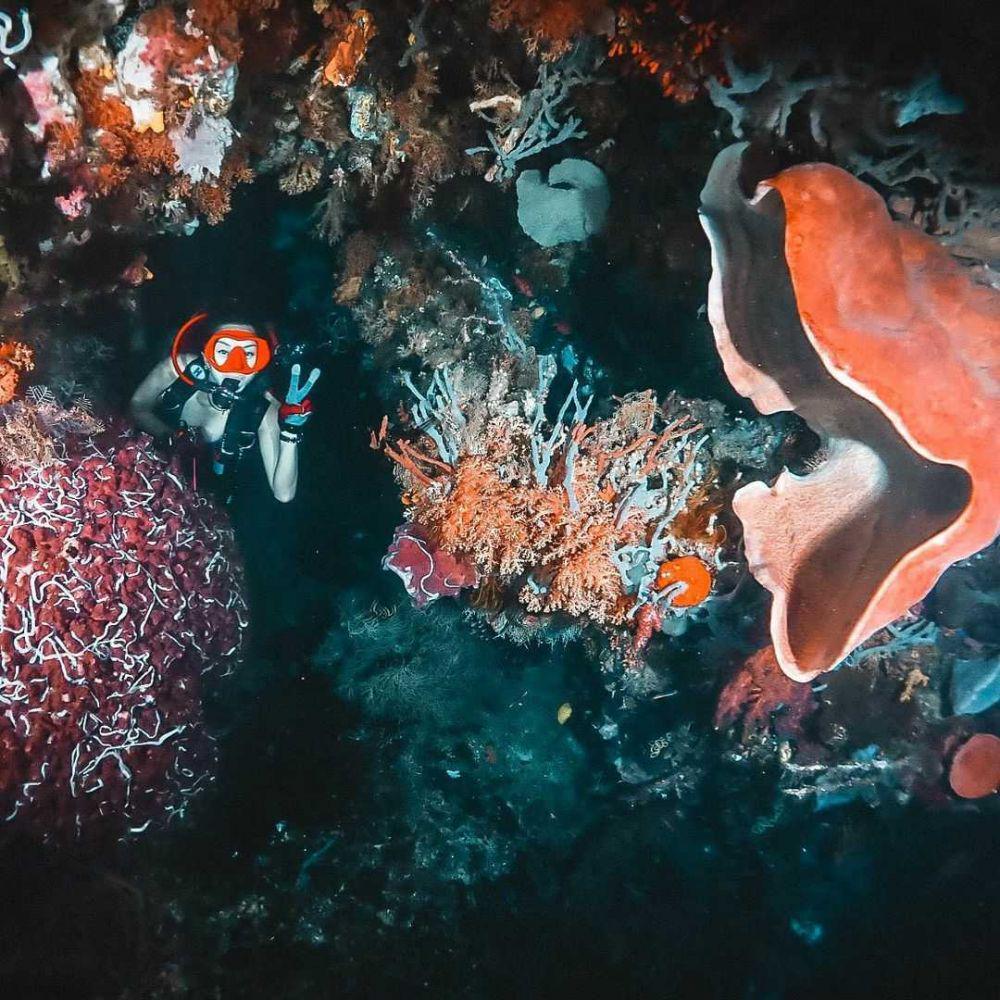 7 Aktivitas Wisata Menarik saat Berkunjung ke Gorontalo