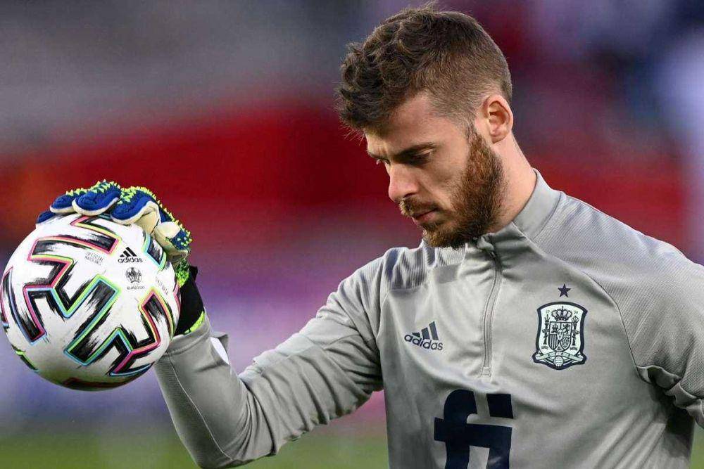 David De Gea (goal.com)