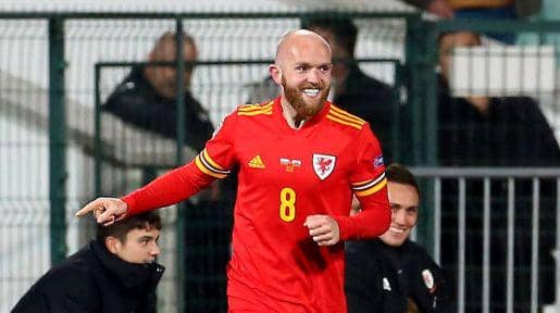 potret Jonathan Williams bersama Timnas Wales(transfermarkt.com)