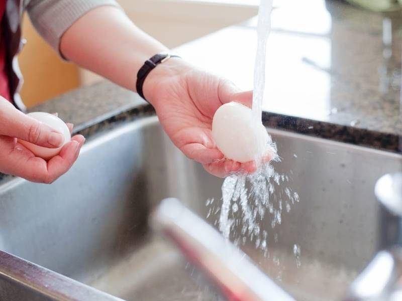 Cuci telur bebek (homesteading.com)