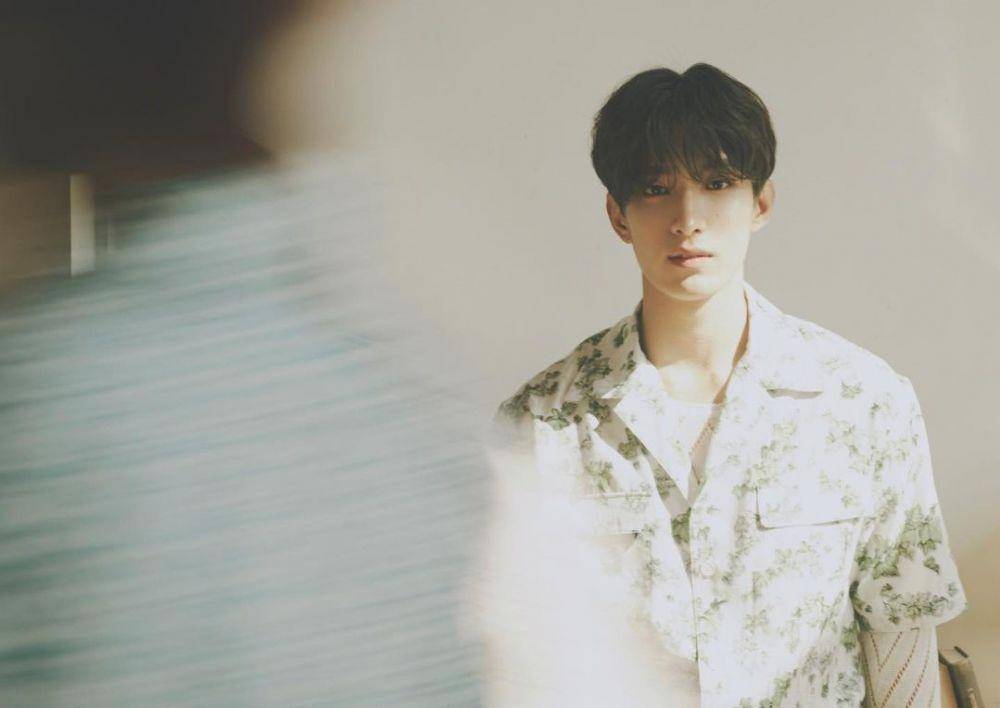 DK Seventeen (instagram.com/saythename_17)