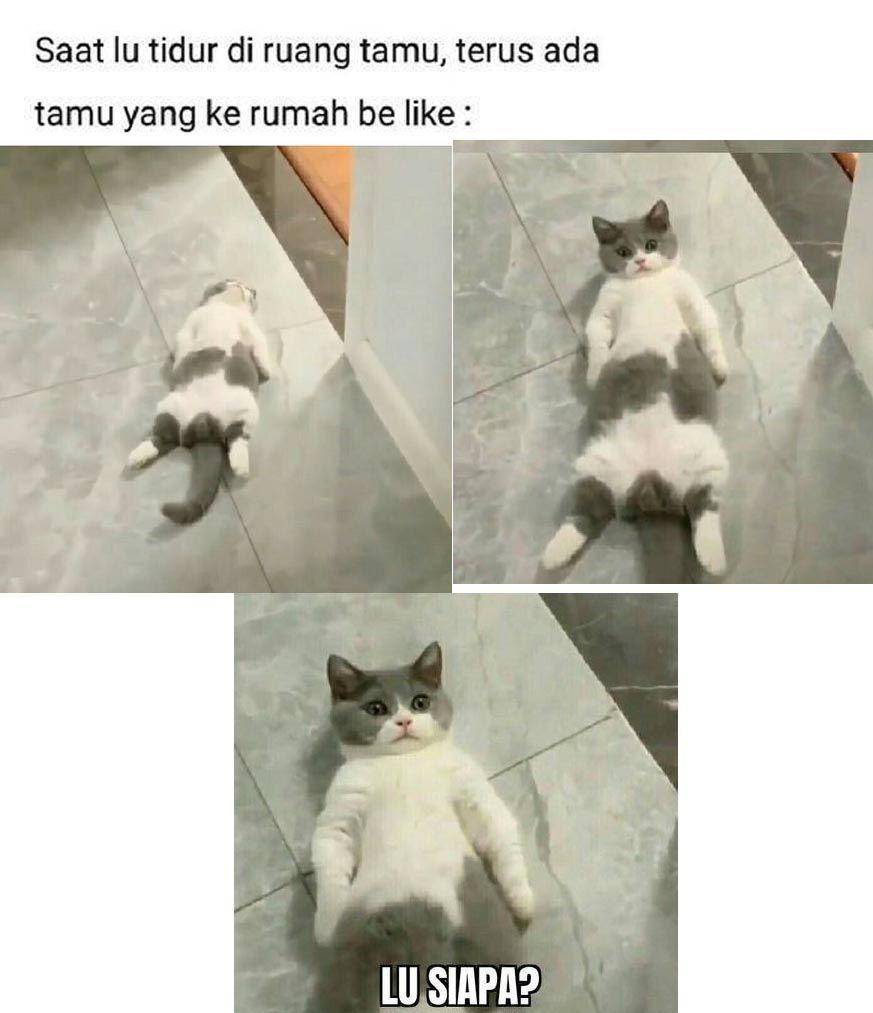meme bangun tidur (twitter.com/onecak)