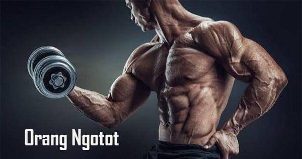 facebook.com/Muh Septian