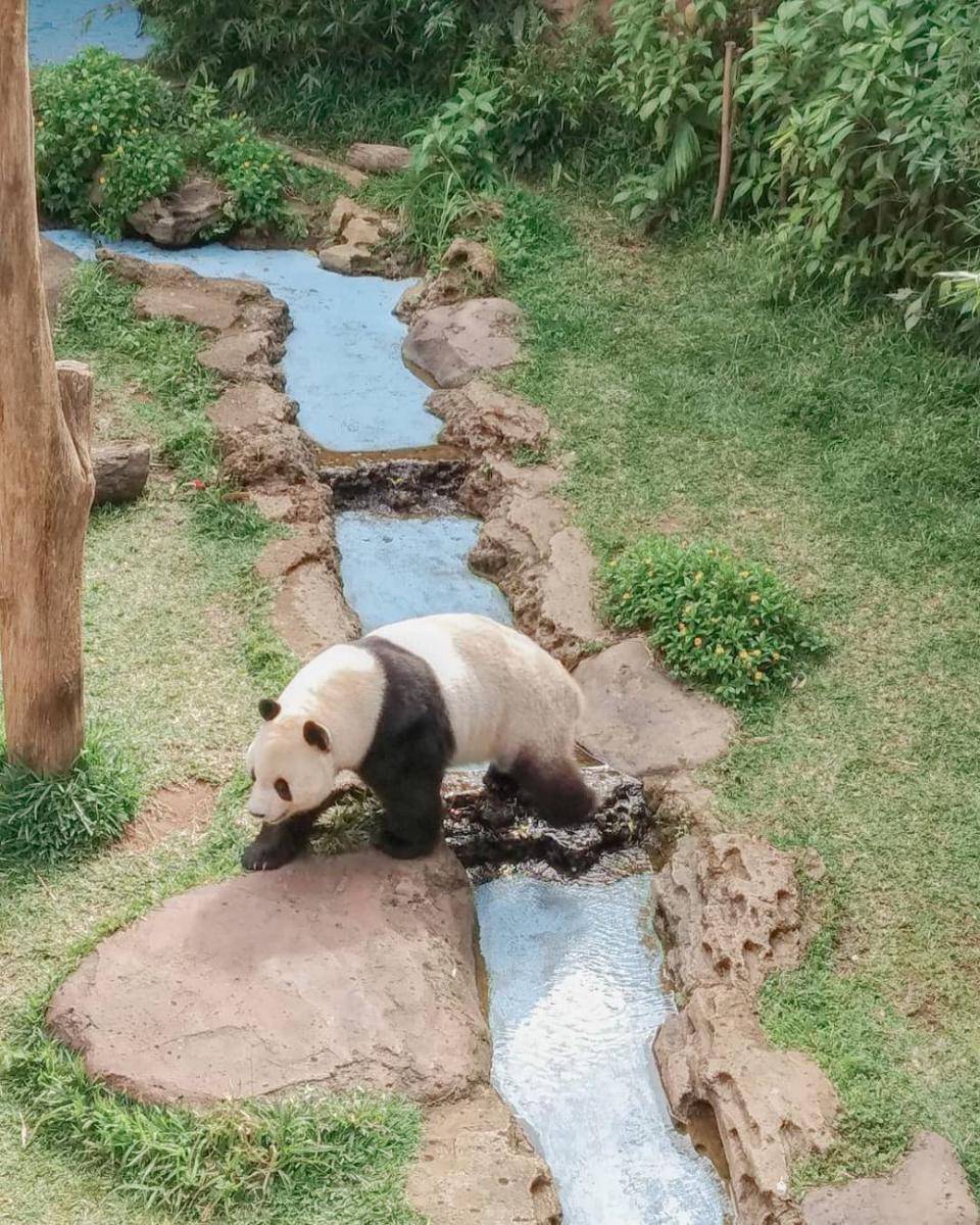 Taman Safari Indonesia, Bogor (instagram.com/diantpuspita)