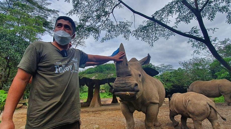 Penyayang Binatang, 10 Potret Seru Irfan Hakim Bareng Badak dan Gajah