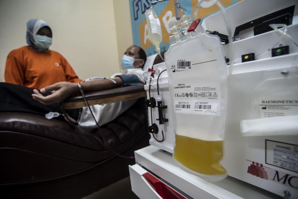 Sudah Dua Bulan Stok Plasma Konvalesen di Makassar Kosong