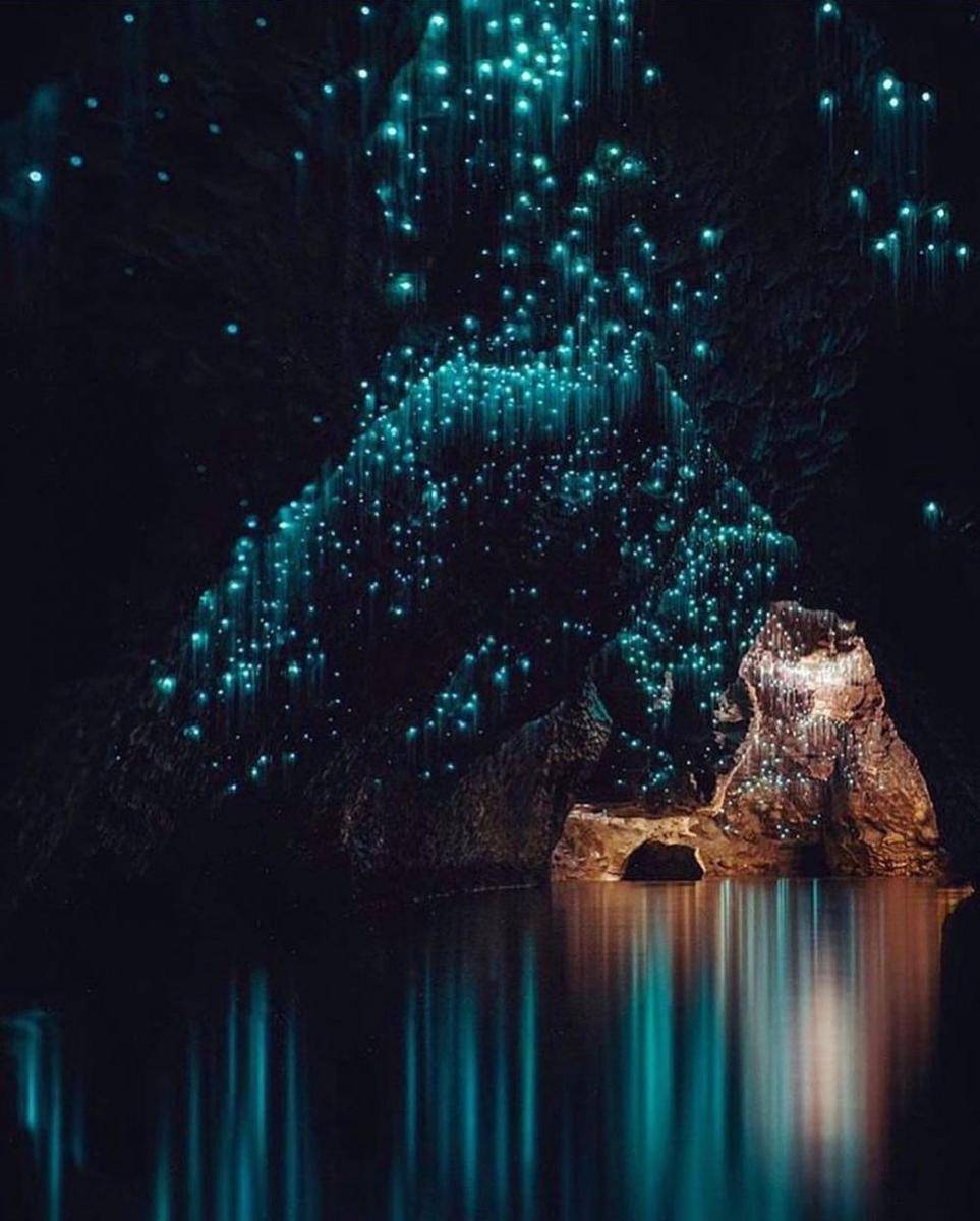 Waitomo Caves, Selandia Baru (instagram.com/shaun_jeffers)