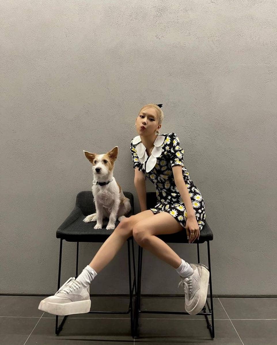 Rose Blackpink. (instagram.com/roses_are_rosie)