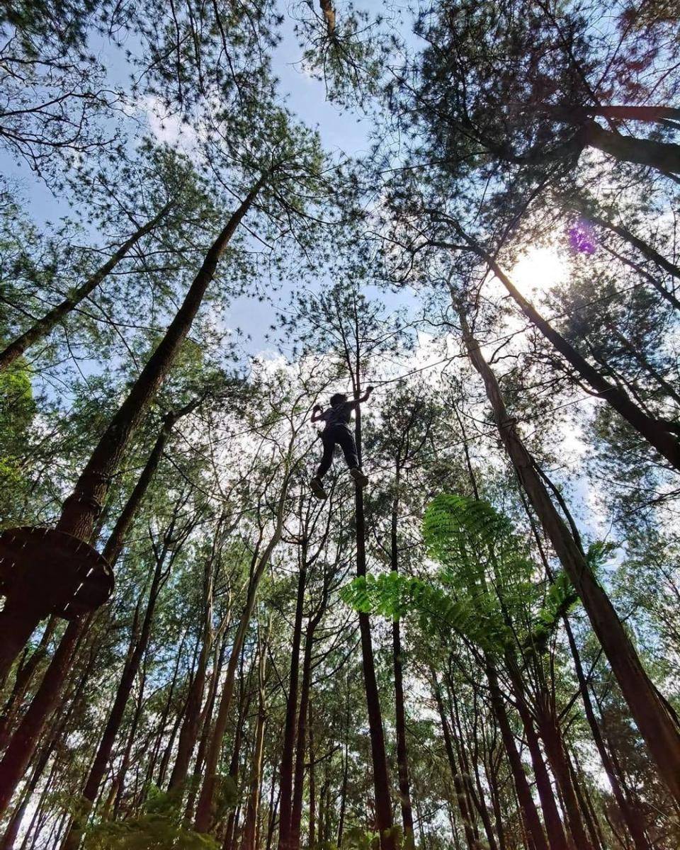 Kopeng Treetop Adventure (instagram.com/keke_wike09)