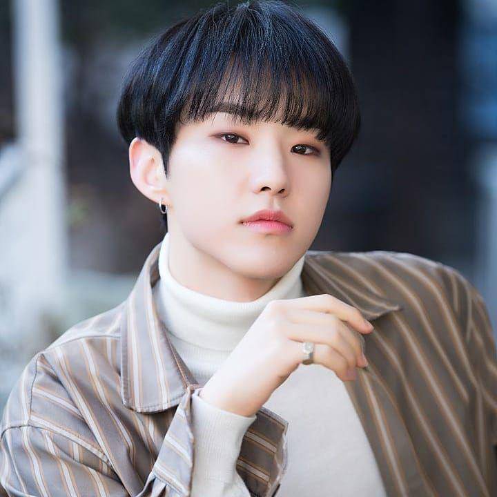 Hoshi (instagram.com/_hoshi.seventeen_)