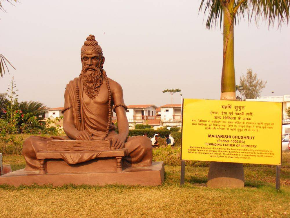 Patung Sushruta Samhita. (wikimedia.org)