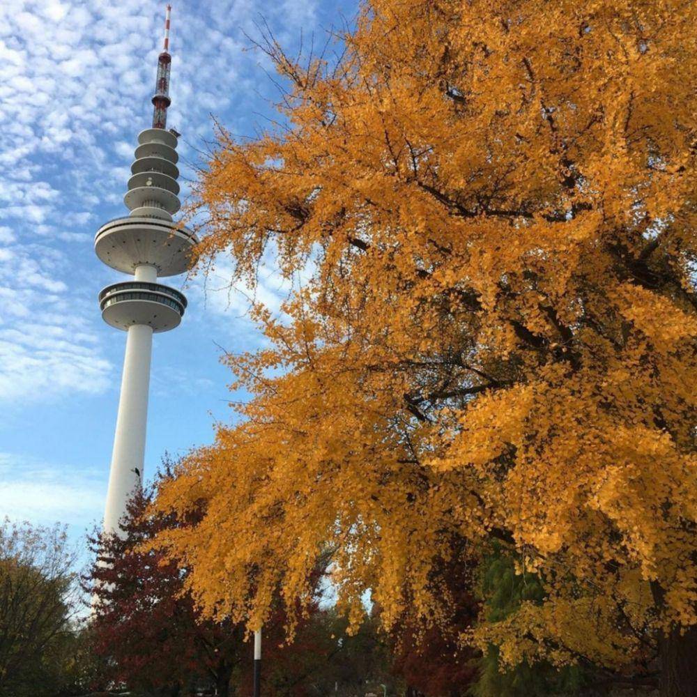 Park Planten un Blomen (Instagram.com/elditt2015)