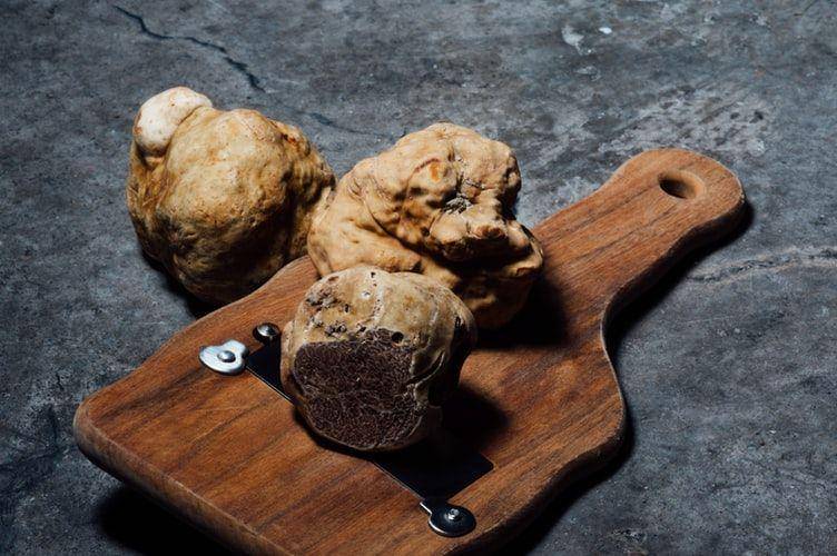 ilustrasi white truffles (unsplash.com/CHUTTERSNAP)
