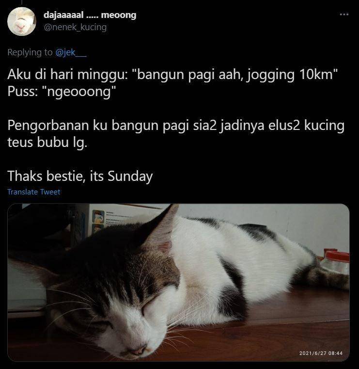 curhat pengganggu hari libur (twitter.com/nenek_kucing)