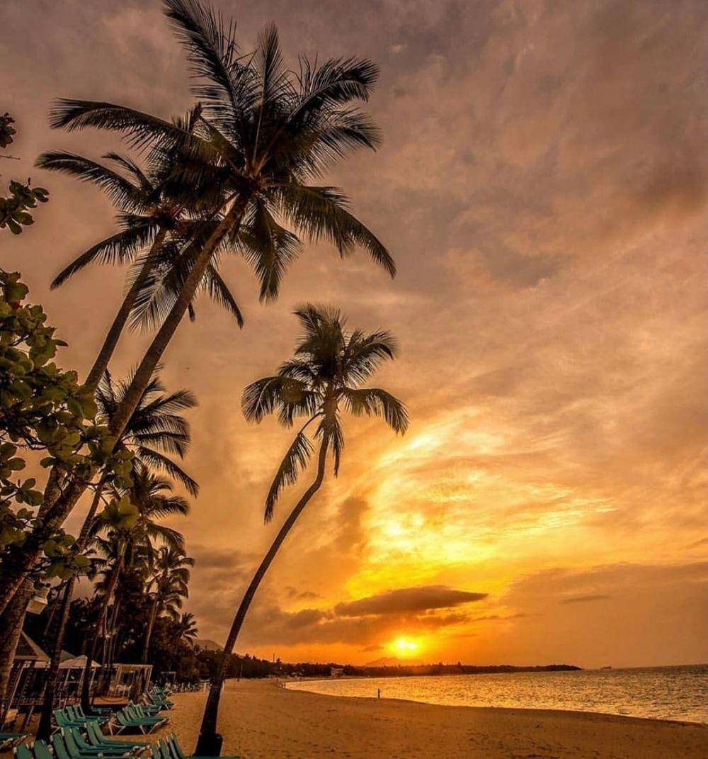 Playa Dorada (instagram.com/dofeli)