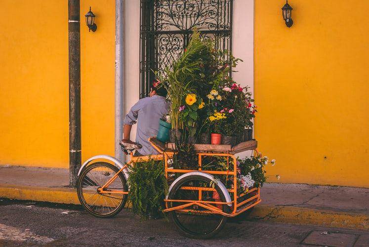 Ilustrasi penjual tanaman (unsplash.com/jorgezapatag)