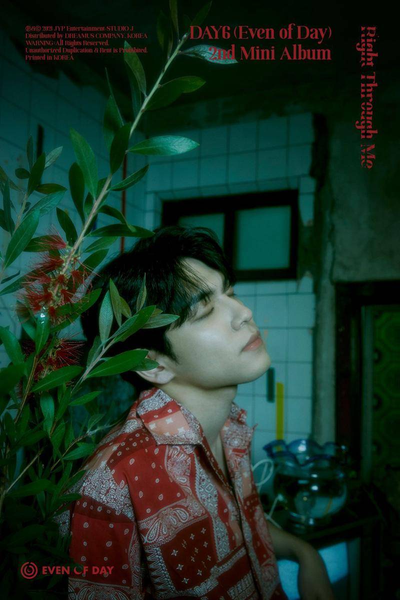 Wonpil DAY6 (twitter.com/day6official)