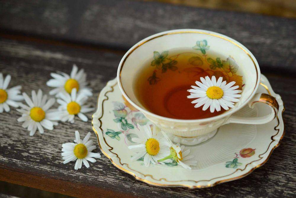 ilustrasi teh chamomile (pixabay.com/congerdesign)