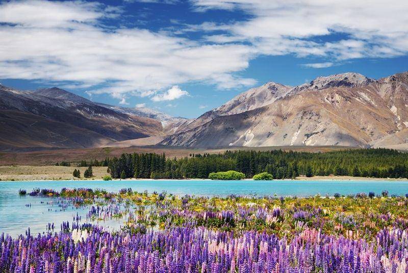Tekapo (kimkim.com)