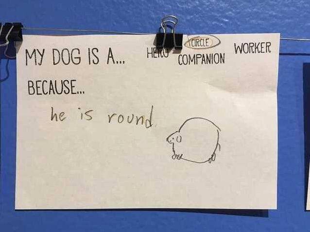 tulisan nyeleneh terlalu polos dan jujur (reddit.com/whoeverouthere)