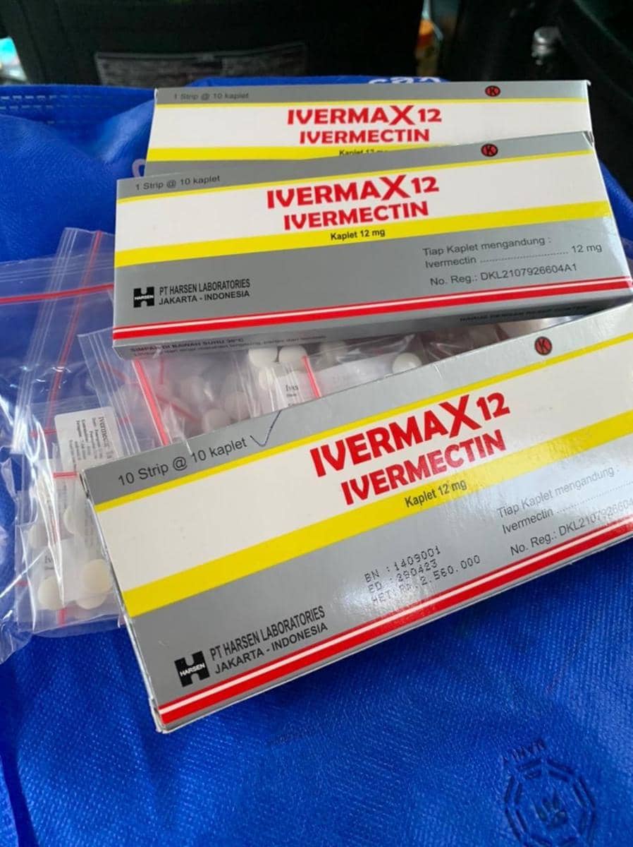 Obat Ivermax 12 (Dok. IDN Times)