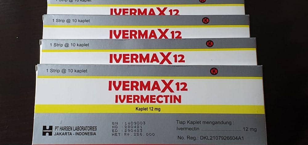 Obat Ivermax 12 (Dok. IDN Times)