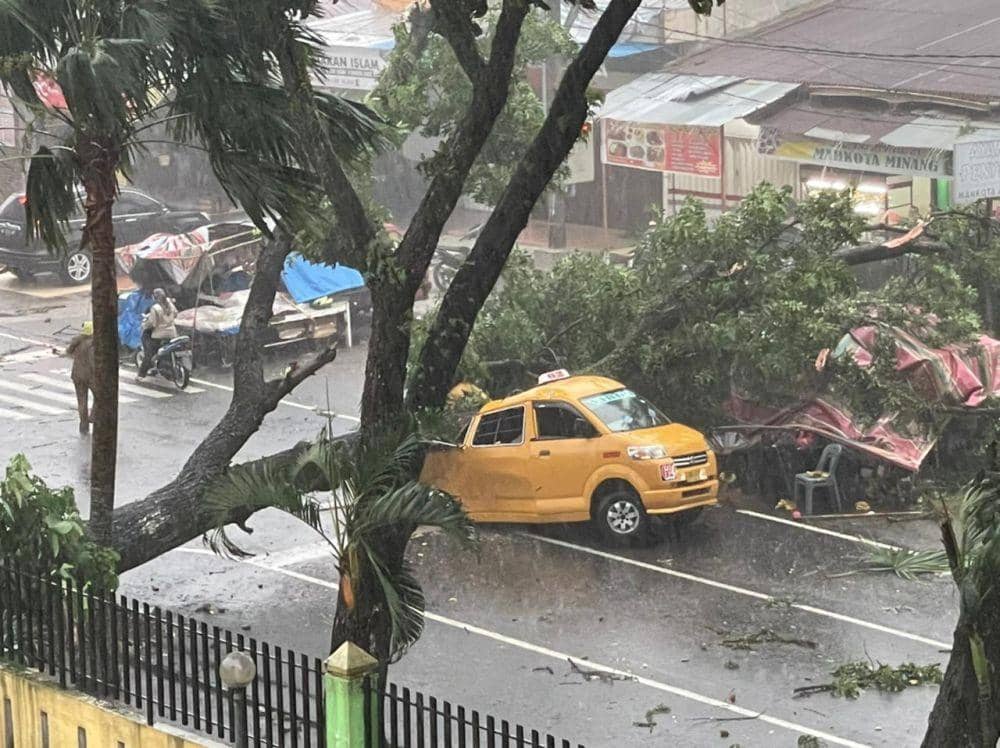 Angkot yang tertimpa pohon tumbang di depan Rumah Sakit Adam Malik, Medan Tuntungan, Medan, Sumatera Utara, Senin (28/6/2021). (Istimewa)