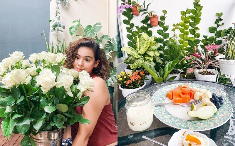 9 Koleksi Tanaman Sahila Hisyam, Cocok buat Beranda dan Balkon Rumah